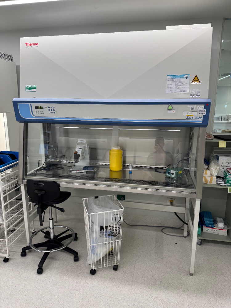 Image of Thermo Safe 2020 6' BioSafety Cabinet